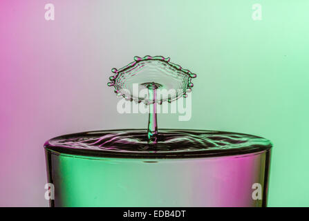 Water drop collision into a glass of water.  Water droplets splashing creating unusual shapes with pink and green background. Stock Photo