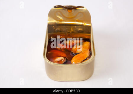 Mussels in a tin with a brown escabeche sauce of vinegar, oil and garlic. Isolated on white Stock Photo