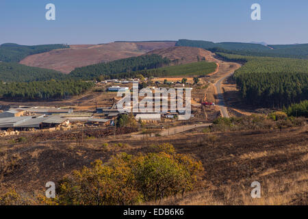 HHOHHO, SWAZILAND, AFRICA - Sawmill and tree plantation near town of Piggs Peak. Stock Photo