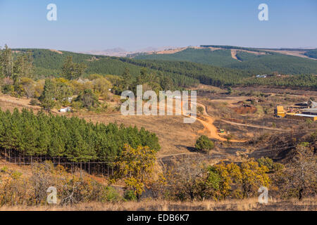 HHOHHO, SWAZILAND, AFRICA - Sawmill and tree plantation near town of Piggs Peak. Stock Photo