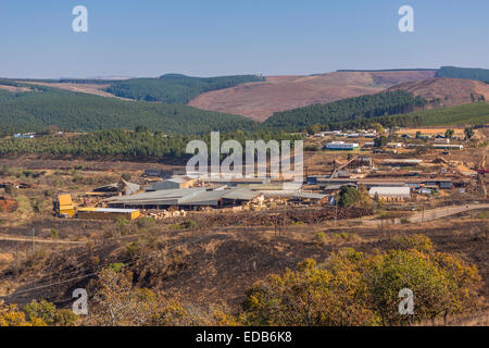 HHOHHO, SWAZILAND, AFRICA - Sawmill and tree plantation clear cutting Stock Photo