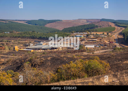 HHOHHO, SWAZILAND, AFRICA - Sawmill and tree plantation clear cutting Stock Photo