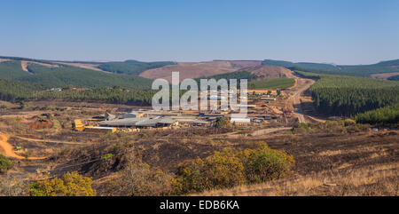 HHOHHO, SWAZILAND, AFRICA - Sawmill and tree plantation monoculture, with clear cutting Stock Photo