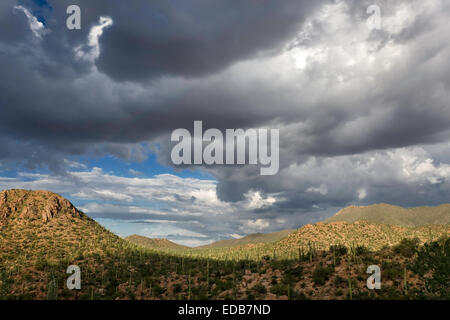 Sweeping views of the vast Arizona landscape, Summer monsoon clouds over Saguaro National Park West, Tucson Stock Photo