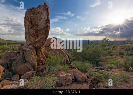 Monsoon clouds over Saguaro National Park West, Tucson, Arizona Stock Photo