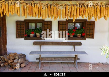 Corn cobs hanging in front of a house, Freilichtmuseum Ensemble Gerersdorf Open Air Museum, Gerersdorf-Sulz, Southern Burgenland Stock Photo