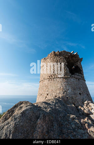 Half-ruined stone tower, Genoese tower, Corsica, France Stock Photo