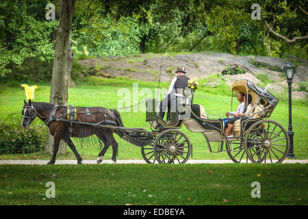 One of the many Horse & Carriages working in Central Park, New York. Stock Photo