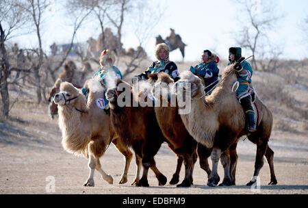West Ujimqin Banner, China's Inner Mongolia Autonomous Region. 5th Jan, 2015. Herdsman ride camels in West Ujimqin Banner, north China's Inner Mongolia Autonomous Region, Jan. 5, 2015. A camel festival was held here to show the camel culture on Monday. Credit:  Ren Junchuan/Xinhua/Alamy Live News Stock Photo