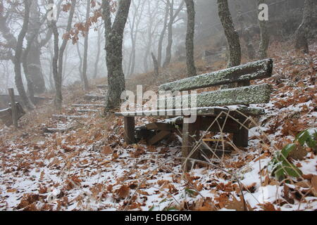 A walk in to the woods , Cholomontas  Mountain in Chalkidiki Greece Stock Photo