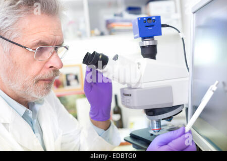 Senior scientist  microscoping in lab. Stock Photo