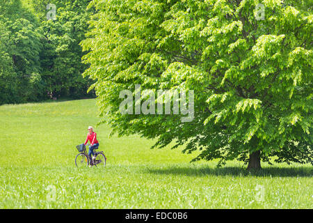 Young woman riding a bicycle. Stock Photo