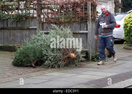 Wimbledon London,UK. 5th January 2014. Christmas trees that have been discarded await collection by the bin men Credit:  amer ghazzal/Alamy Live News