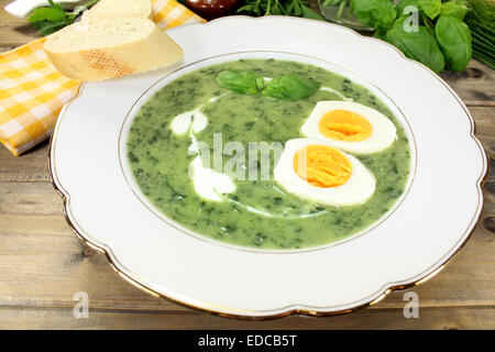 green herb soup with boiled eggs Stock Photo