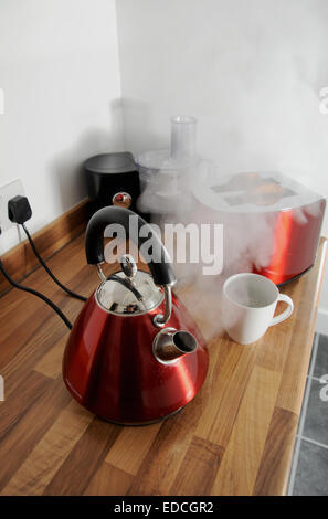 Russell Hobbs K2 kettle - it that the electric kettle the only  self-watching one (meaning that it switches off automatically once the  water has boiled). It appeared in a magazine published in