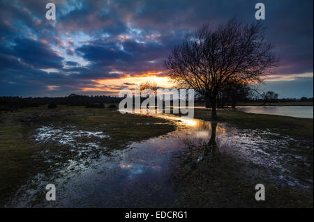 New Forest Sunset Janesmoor Pond Stock Photo