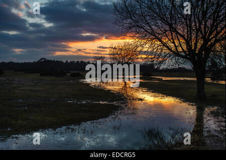 New Forest Sunset Janesmoor Pond Stock Photo