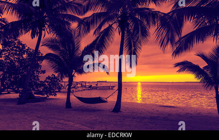 palm trees and hammock on tropical beach Stock Photo