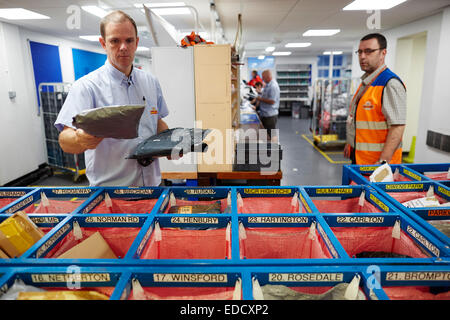 Royal Mail Manchester South delivery office workers sorting the mail by hand Stock Photo