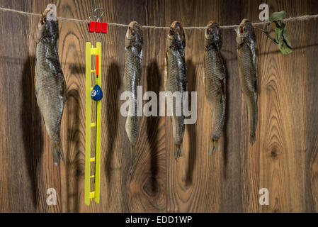 Dried roach - roach, fishing equipment  with a float are hanging on the rope Stock Photo