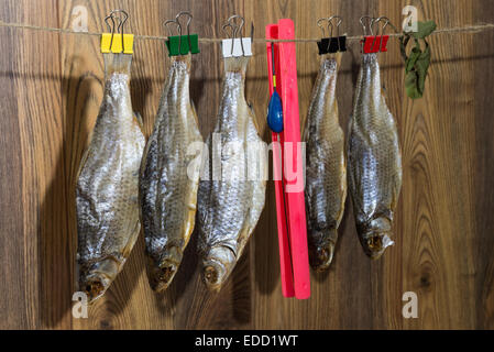 Dried roach - roach, fishing equipment  with a float are hanging on the rope Stock Photo