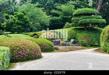 Jiko-in zen temple, Nara, Japan. The 17c garden of white gravel and neatly clipped azaleas, in late spring Stock Photo