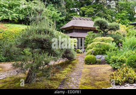 Jiko-in zen temple, Nara, Japan. The thatched gateway seen from inside the temple, beyond a carefully trained pine tree Stock Photo