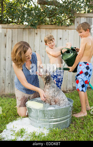 A family in their garden, washing a dog in a tub. Stock Photo