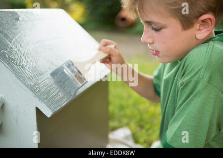 A boy in a garden, painting a dog house. Stock Photo