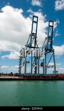 Cargo Cranes in Auckland Harbour, New Zealand Stock Photo