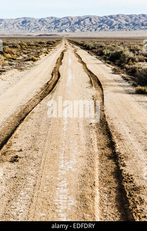 Tire tracks in dirt road. Stock Photo