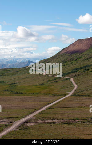 Road in Denali Park Stock Photo