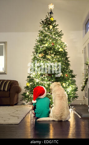 Young boy with his pet dog sitting looking at his Christmas tree lit up at home Stock Photo
