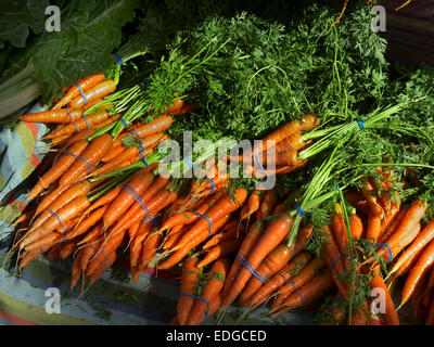 Freshly picked and washed organic carrots on farmers market stall in late afternoon sunlight Farmers Market Embarcadero San Francisco California USA Stock Photo