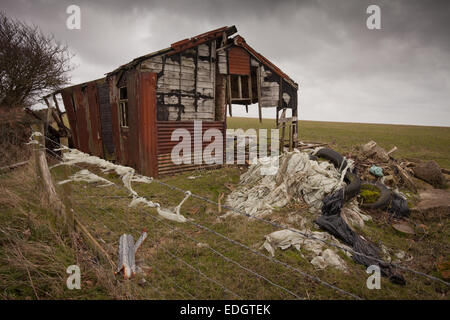 Ramshackle shed or outbuilding on farmland, with old plastic stuck to barbed wire fence, Pembrokeshire Wales UK Stock Photo