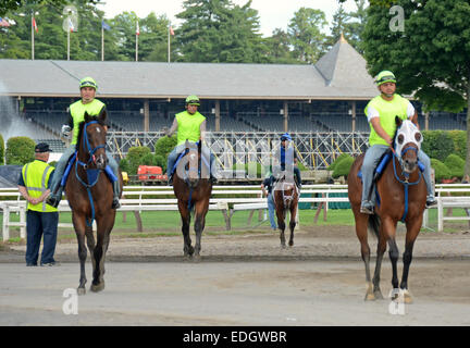 Saratoga Springs, USA - August 6, 2012: crews warm up horses prior to busy racing day at Saratoga Race track, New York State Stock Photo