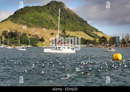 Swimmers in triathlon race at Mount Maunganui, New Zealand Stock Photo