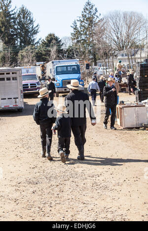 Amish at the annual Spring Mud Sale and  public auction in Gordonville, PA, which benefits the local fire company. Stock Photo