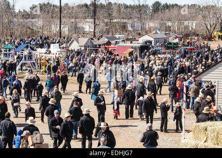 Amish at the annual Spring Mud Sale and  public auction in Gordonville, PA, which benefits the local fire company. Stock Photo