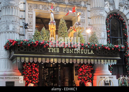 The front entrance to the Peninsula hotel at Christmas decorated with trees, lights and reindeer Stock Photo