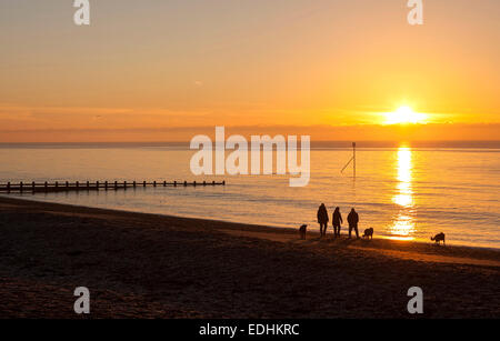 Dog walking at sunrise on Littlehampton beach West Sussex UK Stock Photo