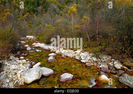 Ferruginous river in the Zhouzi Nature Reserve, Qinling Mountains, Shaanxi Province, China Stock Photo