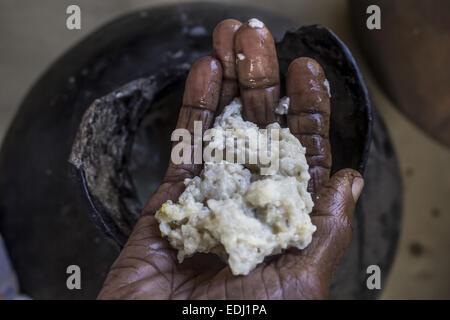 Sivasagar, Assam, India. 7th Jan, 2015. An elderly Ahom tribal woman prepares 'Saaj-Pani' (Rice Beer) using the indigenous method at her house ahead of Bhogali Bihu - The festival of feast, at a village in Sivasagar district of northeastern Assam state on January 7, 2015. Rice beer is a delicacy among all the tribal communities inhabiting northeast India and almost each and every household prepares their own rice beer for their daily consumption. © Luit Chaliha/ZUMA Wire/ZUMAPRESS.com/Alamy Live News Stock Photo