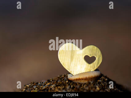 A beautiful bright heart shape is placed inside a shell on dark background. Stock Photo