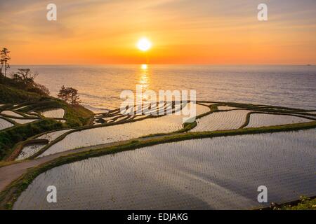 Rice terraces at sunset, Shiroyone senmaida,Ishikawa, Japan Stock Photo