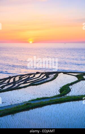 Wajima Rice Terraces Senmaida rice terraces in Wajima, Japan Stock Photo - Alamy