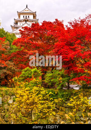 Himeji Castle, also called White Heron Castle, in autumn season, Japan. Stock Photo