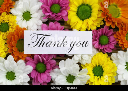 Thank you card with colorful santini flowers Stock Photo