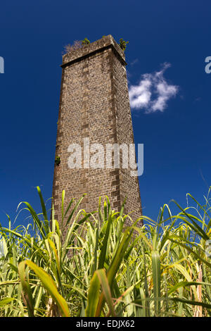 Mauritius, Creve Coeur, industrial history, old sugar cane factory chimney in field Stock Photo