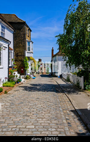 Distinctive old houses some with growing plants in borders stand on either side of a cobblestone street leading to a blue river Stock Photo